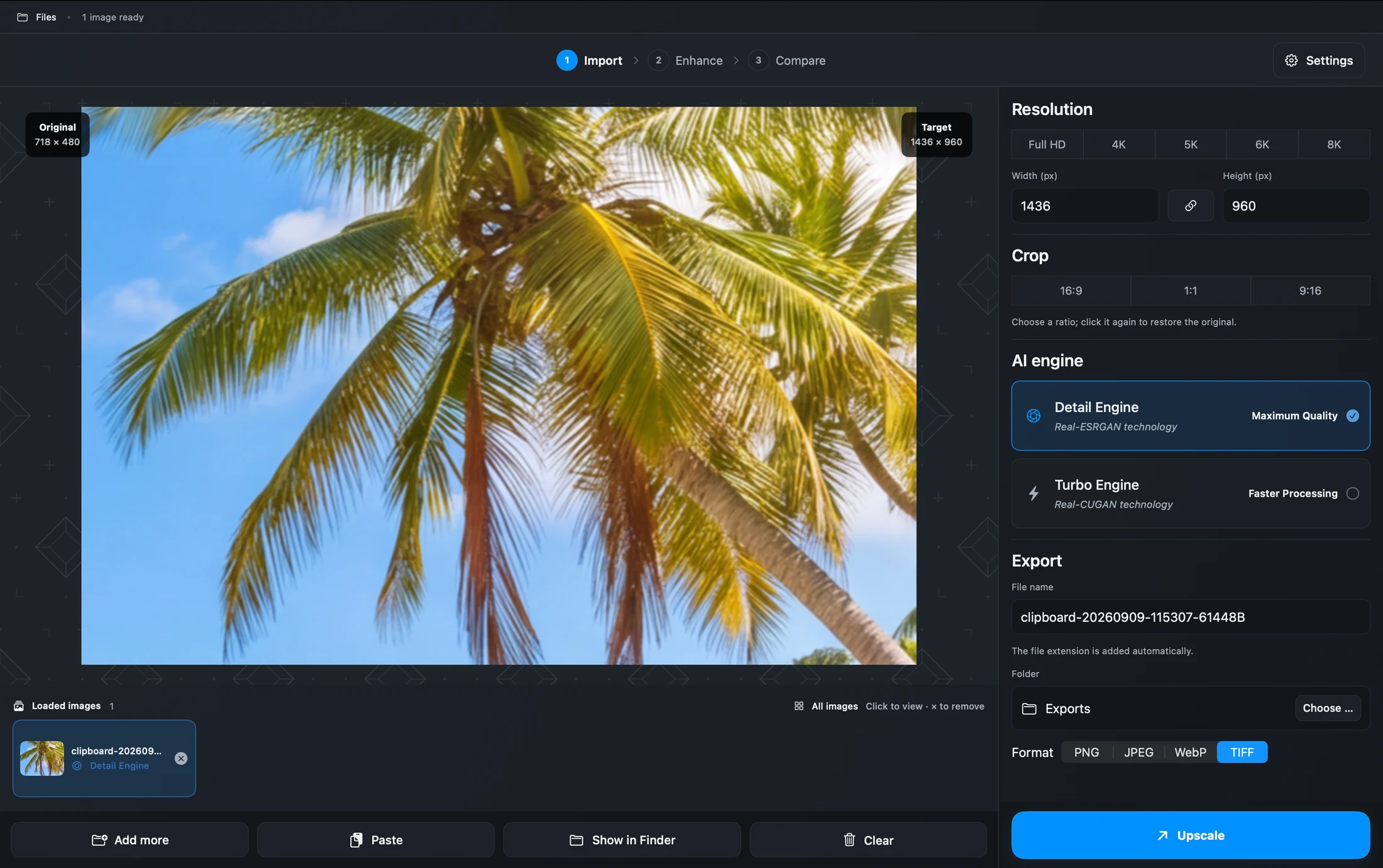 Imupscale on Mac with a palm photo, resolution presets, Detail and Turbo engines, crop controls and TIFF export.